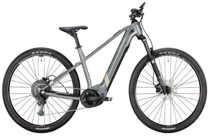martins e-bike