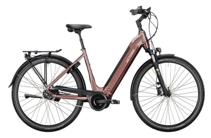 martins e-bike