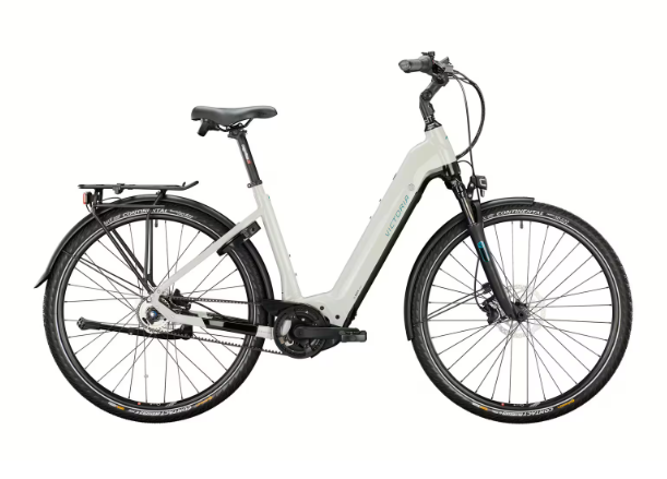 martins e-bike