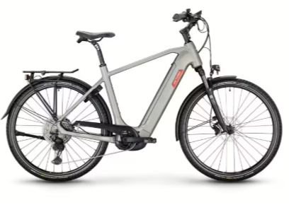 martins e-bike