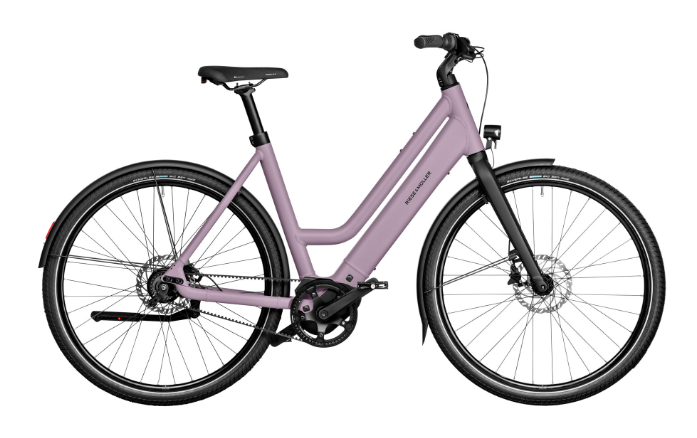 martins e-bike